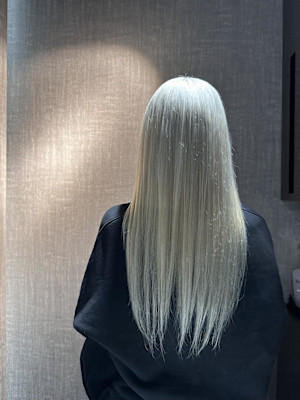 地毛ハイトーン