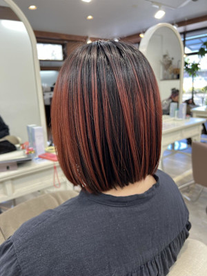 アンブレラ/アプリコットオレンジ