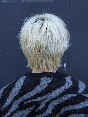 無造作マッシュウルフ