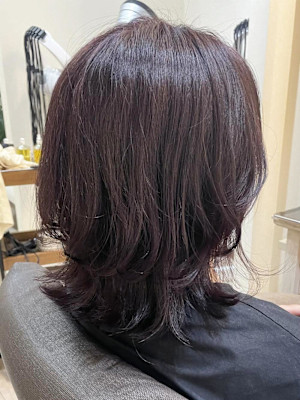 【ジュレベール 阿佐慶】外ハネミディアム 