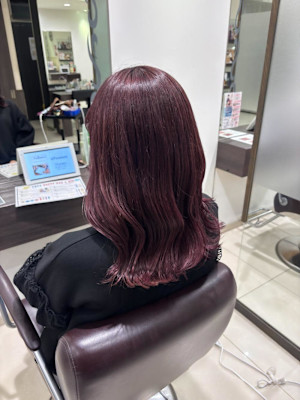 ピンクラベンダー