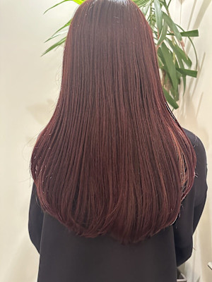 カシスレッド/ピンクインナーカラー 