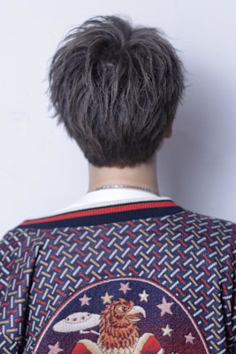 エヒートガイルショート