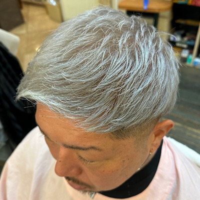 グレーアッシュ/シルバーカラー/ツーブロック/ショート