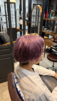 パープルカラー