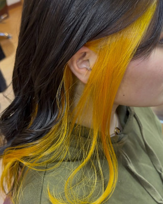 🕊️ご予約経路🕊️