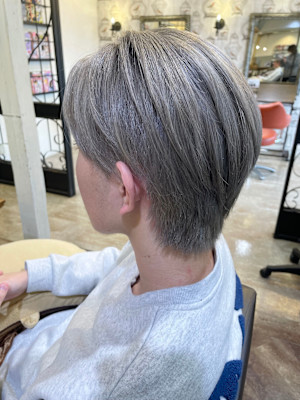 シルバーアッシュ