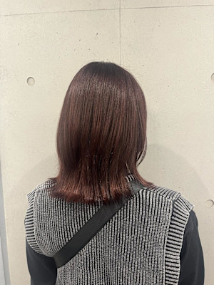 ミディアムウルフ