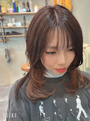 ライトナー　イルミナカラー