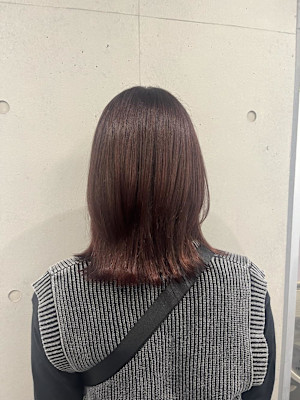 ミディアムウルフ