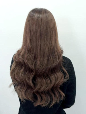 ブラウンロングヘアー