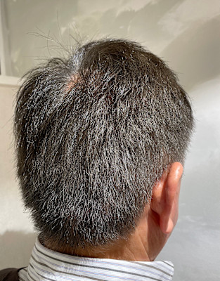 白髪ぼかしシルバーグレー