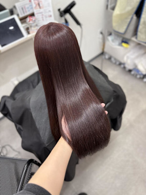 ピンクラベンダー