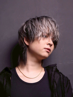 ダブルカラー（デザイン）