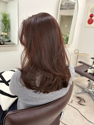 シアーベージュアプリコット