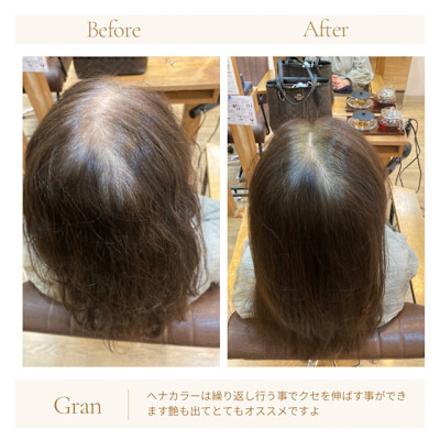 お客様髪質改善データ1757（ヘナ）