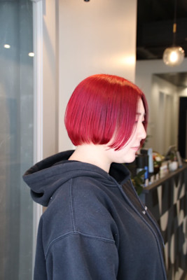 dog star×スタイル