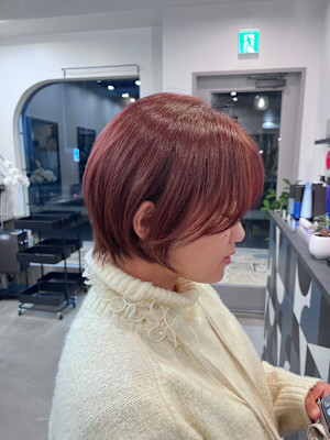 dog star×スタイル