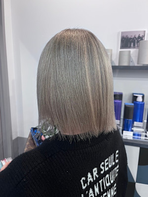 dog star×スタイル