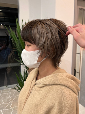 dog star×スタイル