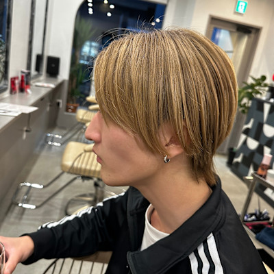 dog star×スタイル