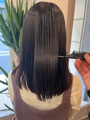 dog star×スタイル