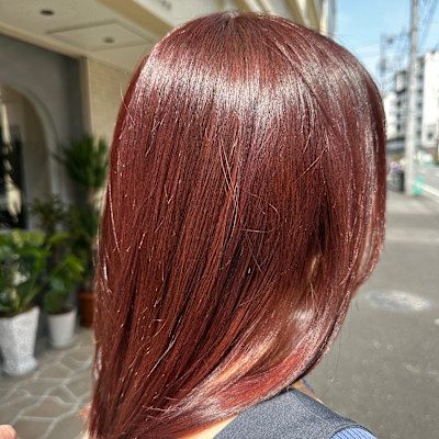 dog star×スタイル