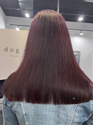 dog star×スタイル