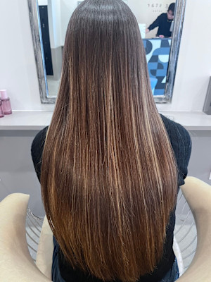 dog star×スタイル