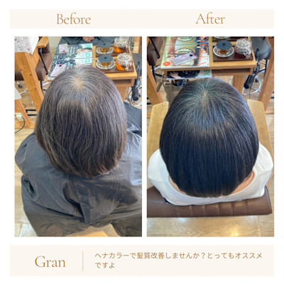 お客様髪質改善データ1758（ヘナ）