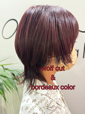 ウルフカット×ボルドーカラー