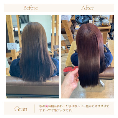 お客様髪質改善データ1753（ローズピンク）