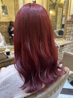 27/チェリーレッド/暖色カラー/ボルドー/ワインレッド