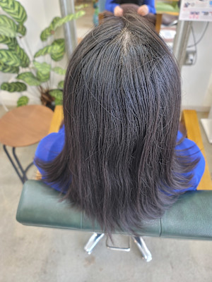 髪質改善トリートメント×縮毛矯正 Wealth×スタイル