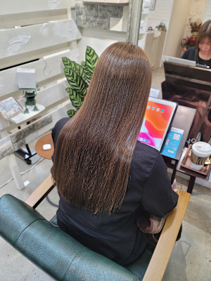 髪質改善トリートメント×縮毛矯正 Wealth×スタイル