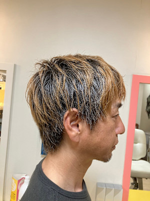 マッシュレイヤーウルフ