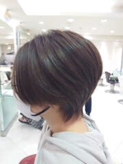 ハンサムショートウルフ