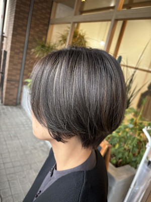 アッシュグレーハイライト