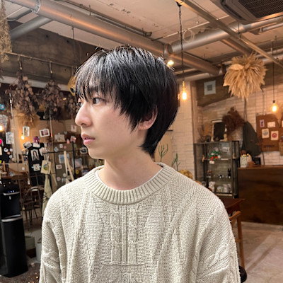 コンパクトメンズショート