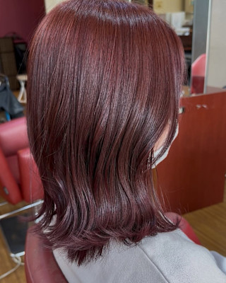 🕊️ご予約経路🕊️