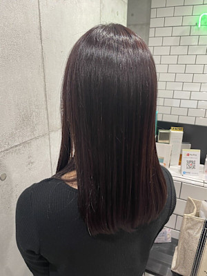 ダークパープルカラー