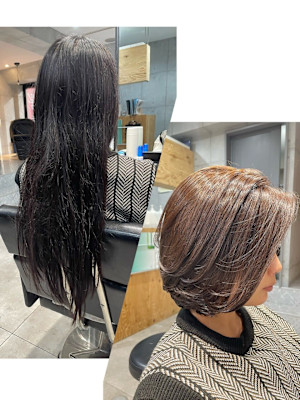 オフィスエレガントボブ