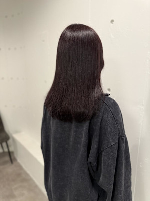 ピンクラベンダー