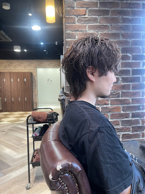 ミディアムウルフ