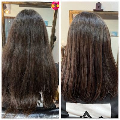 reFREO【リフレオ】×スタイル