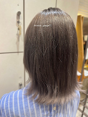 Wカラー×グレージュ