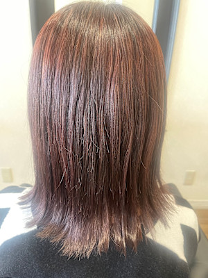 ボルドーカラー