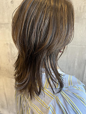 ミディアム／ハイライト