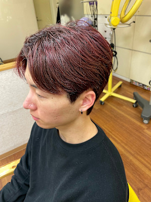 トータルビューティー BALFIT×スタイル