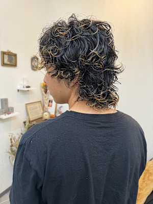 shilpee×スタイル